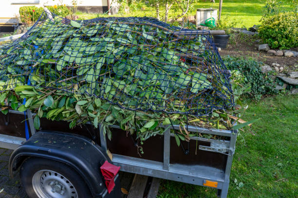 Best Recycling Services for Junk  in Winnsboro Mills, SC